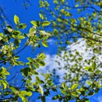 Protect Your Home: Essential Homeowners Insurance Tips for 2023!