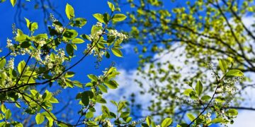 Protect Your Home: Essential Homeowners Insurance Tips for 2023!