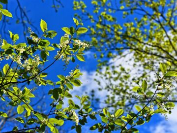 Protect Your Home: Essential Homeowners Insurance Tips for 2023!
