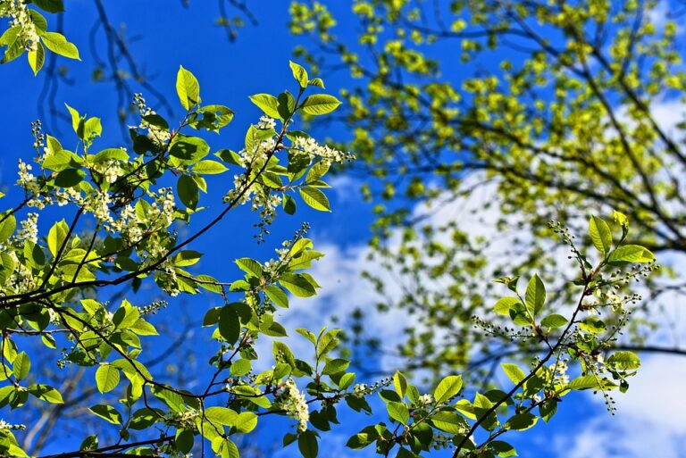 Protect Your Home: Essential Homeowners Insurance Tips for 2023!
